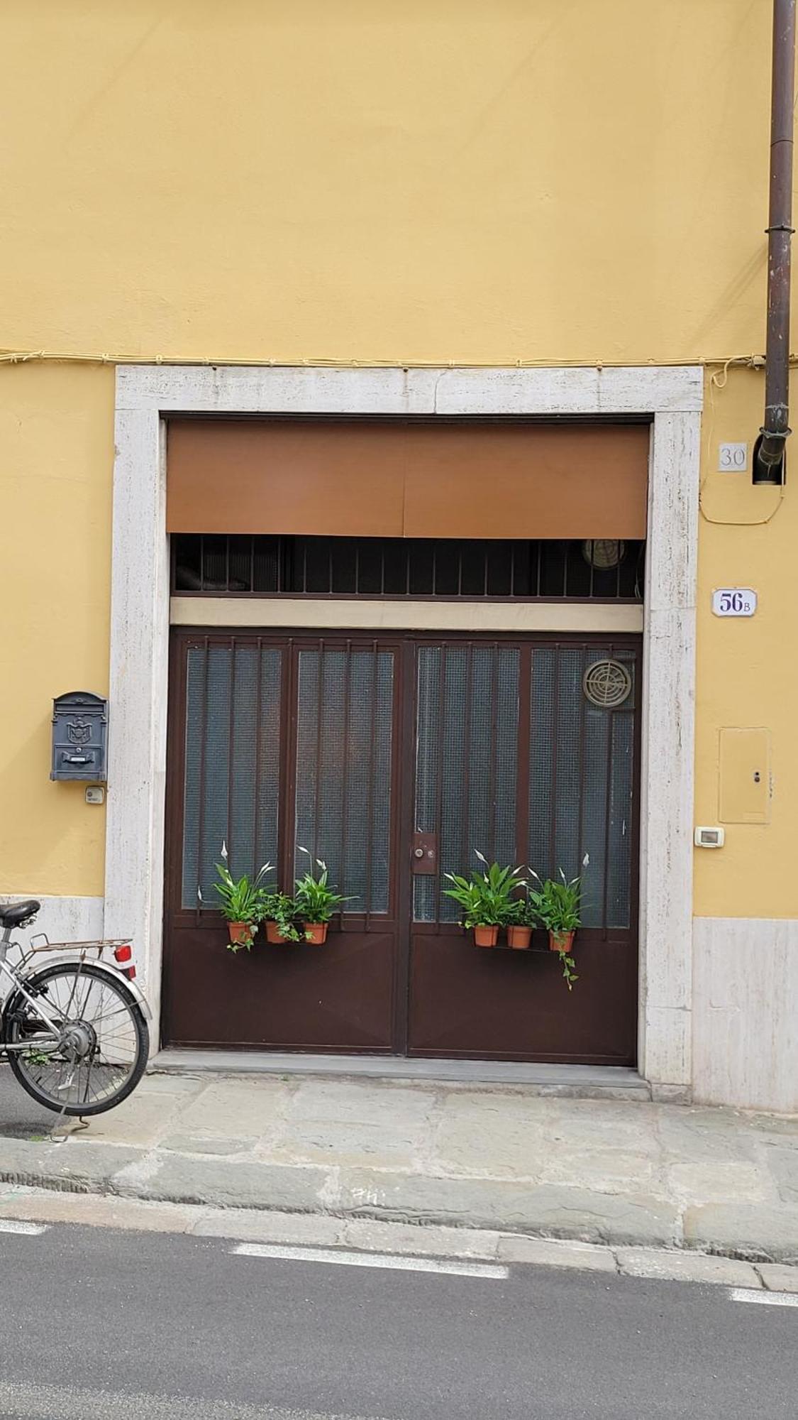 Bolognese House *